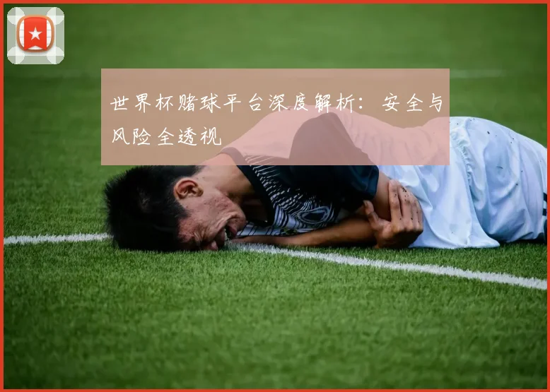 世界杯赌球平台深度解析：安全与风险全透视