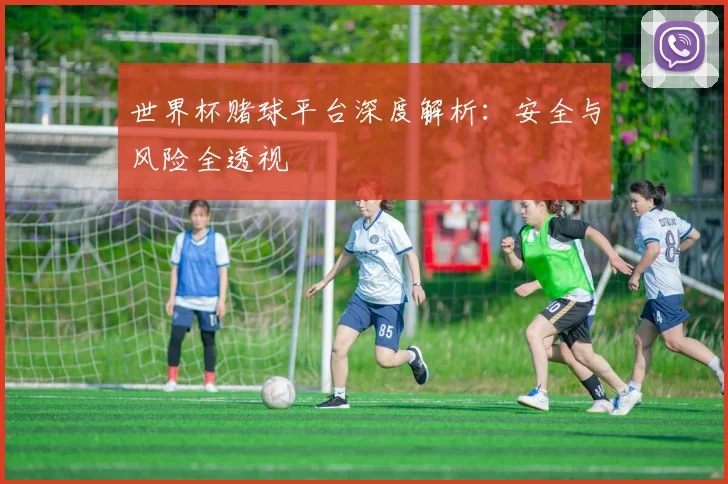 世界杯赌球平台深度解析：安全与风险全透视