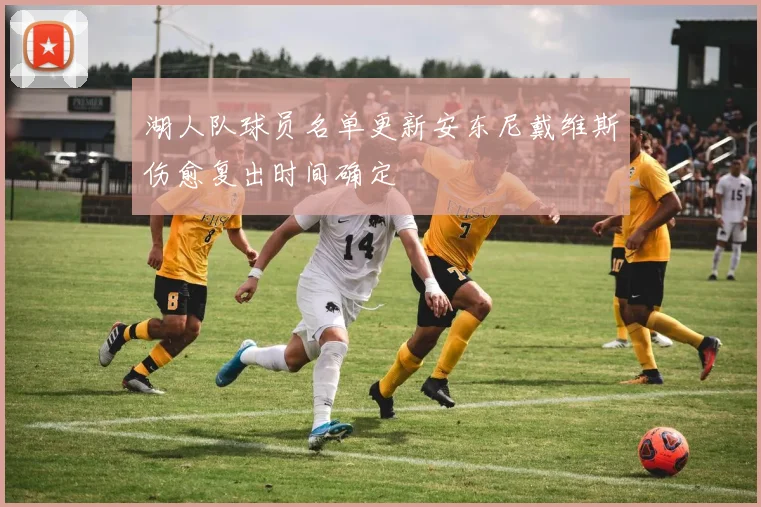 湖人队球员名单更新安东尼戴维斯伤愈复出时间确定