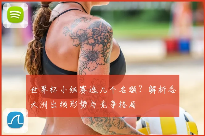 世界杯小组赛选几个名额?解析各大洲出线形势与竞争格局