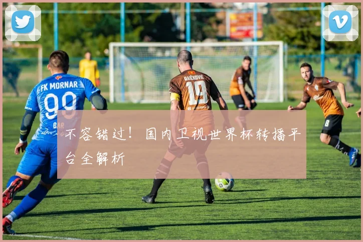 不容错过!国内卫视世界杯转播平台全解析