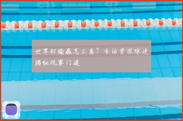 世界杯输赢怎么看?专访资深球迷揭秘观赛门道