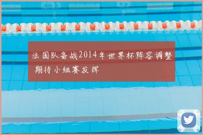 法国队备战2014年世界杯阵容调整 期待小组赛发挥