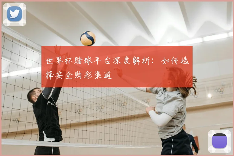 世界杯赌球平台深度解析:如何选择安全购彩渠道