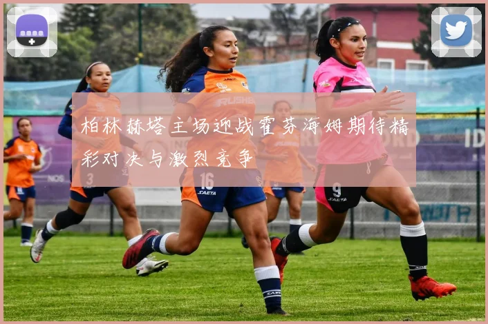 柏林赫塔主场迎战霍芬海姆期待精彩对决与激烈竞争