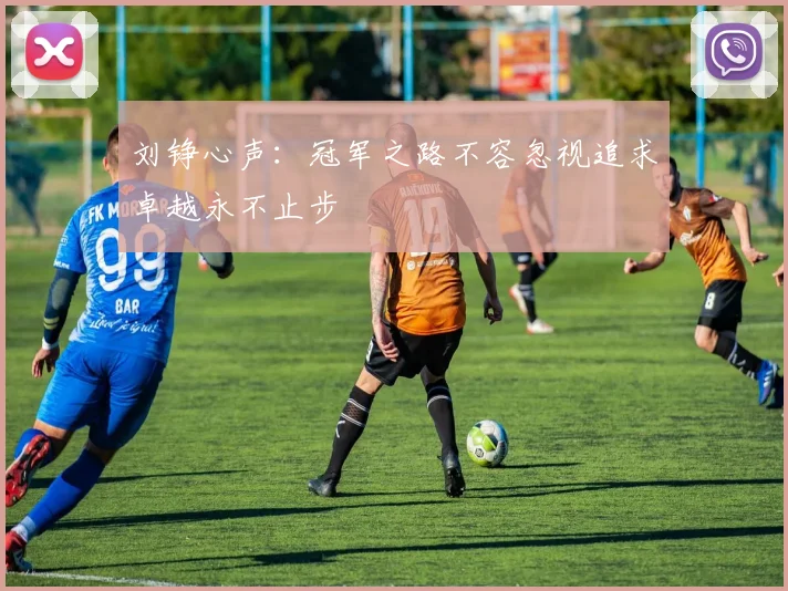刘铮心声：冠军之路不容忽视追求卓越永不止步