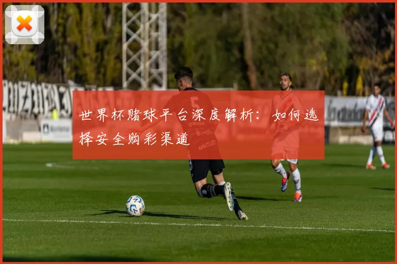世界杯赌球平台深度解析:如何选择安全购彩渠道