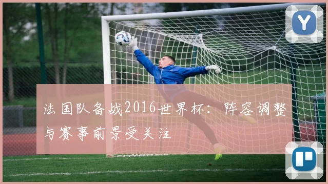 法国队备战2016世界杯:阵容调整与赛事前景受关注